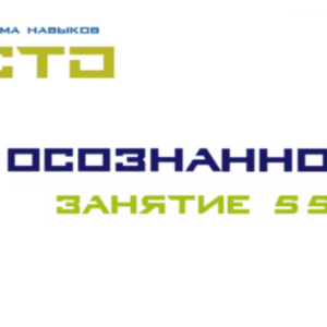 СТО Осознанность Занятие №555 (Lee)