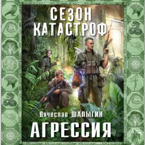 Агрессия (Вячеслав Шалыгин)