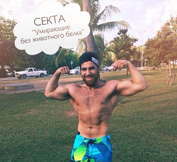 Стартер-pack (Арсен Маркарян)