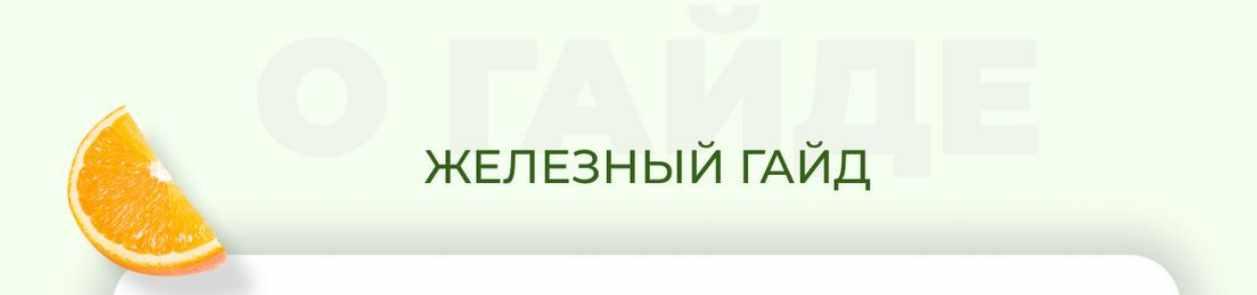 Железный гайд (Софья Литошенко)