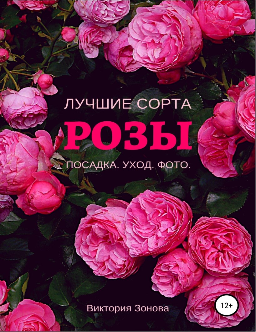 Розы. Лучшие сорта (Виктория Зонова)